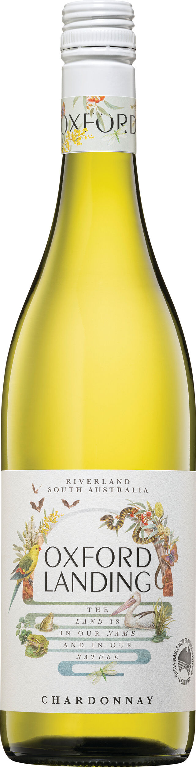 Regenerate Chardonnay image number null